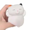 squishy chat kawaii écrasé