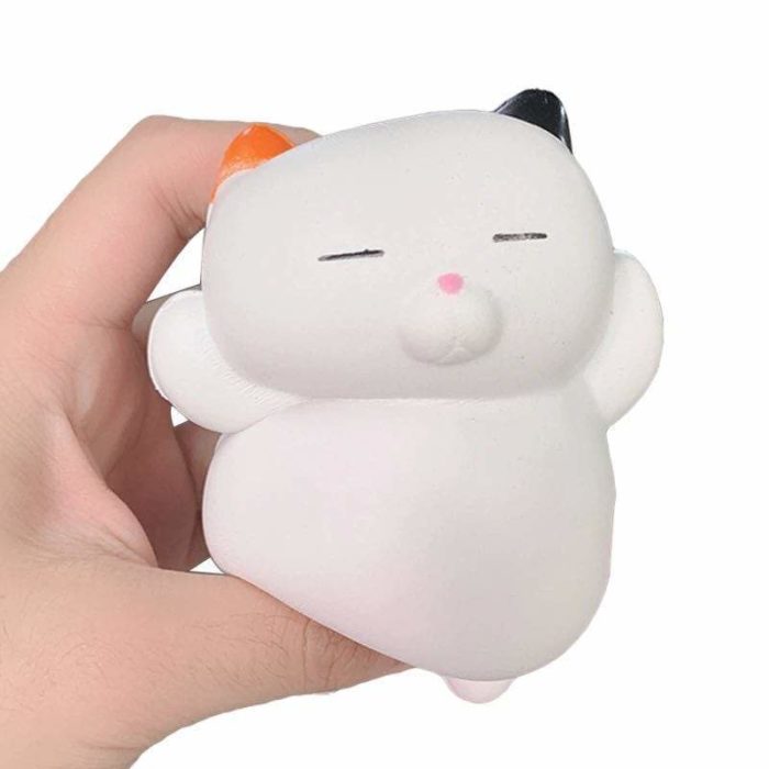 squishy chat kawaii écrasé