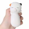 squishy chat kawaii écrabouillé
