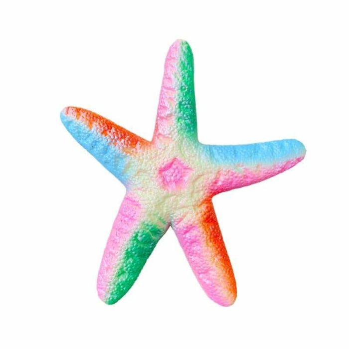 squishy etoile de mer